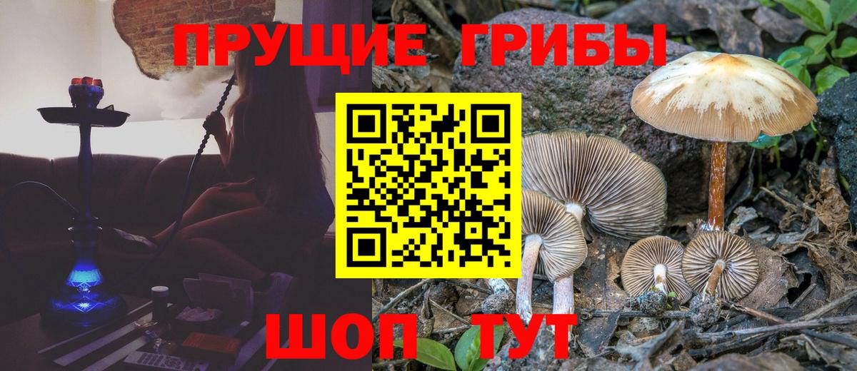 Копейск  Псилоцибиновые грибы ЛСД  Вход с VPN  Псилоцибиновые грибы ЛСД 
