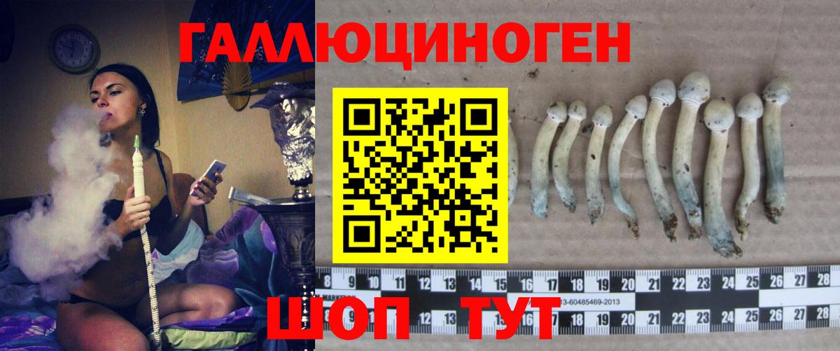 Псилоцибиновые грибы ЛСД Копейск